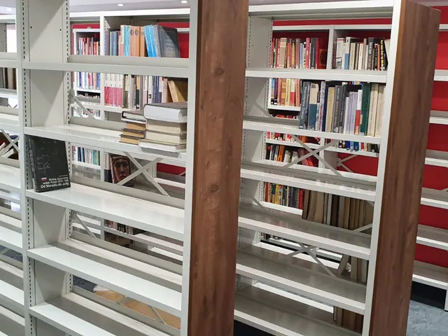 Bibliotēku plaukti ar grāmatām